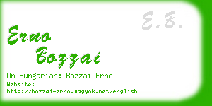 erno bozzai business card